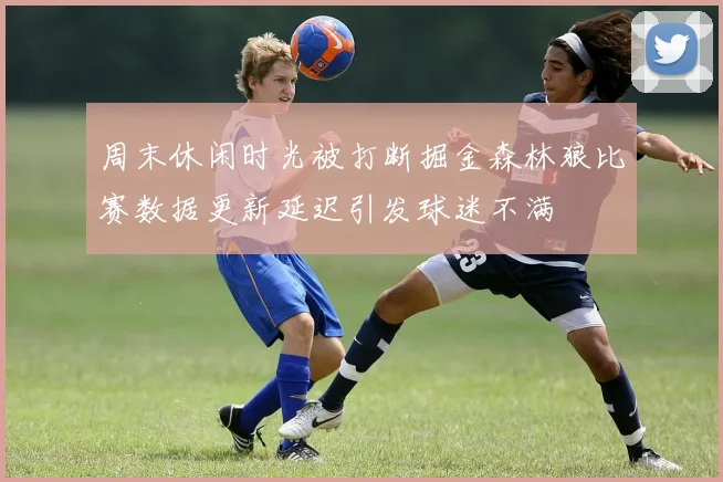 周末休闲时光被打断掘金森林狼比赛数据更新延迟引发球迷不满