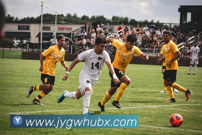 九游官网服务体系